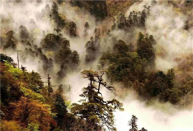 怒江旅游：大雪？怒江沒(méi)有的