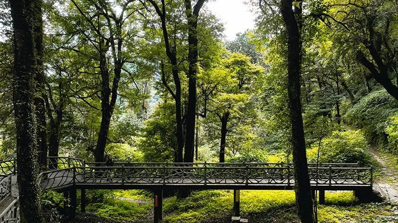 怒江活動(dòng)策劃：有一種生活叫云南的怒江丨一起去姚家坪，上一堂自然課